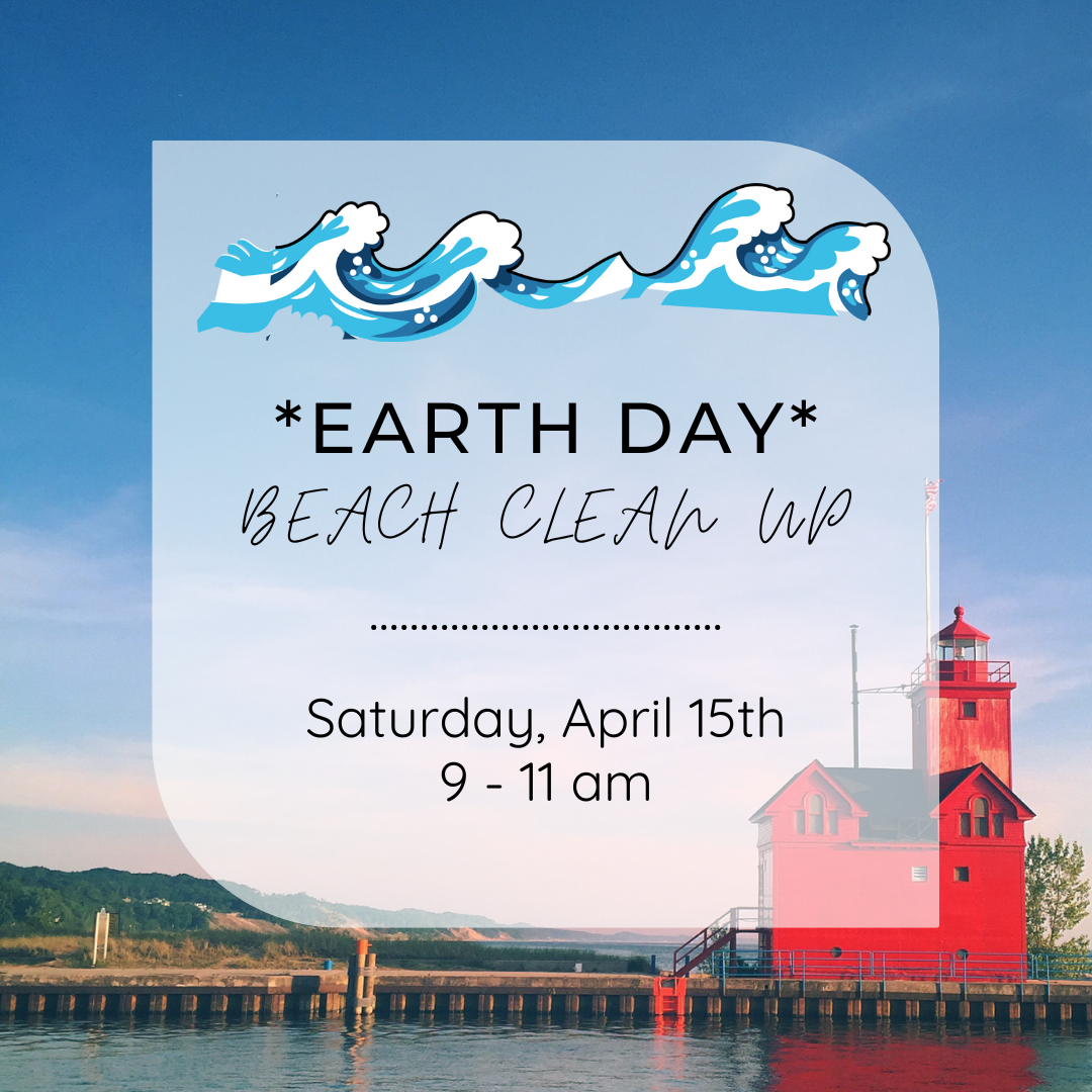 beach clean up April 2023