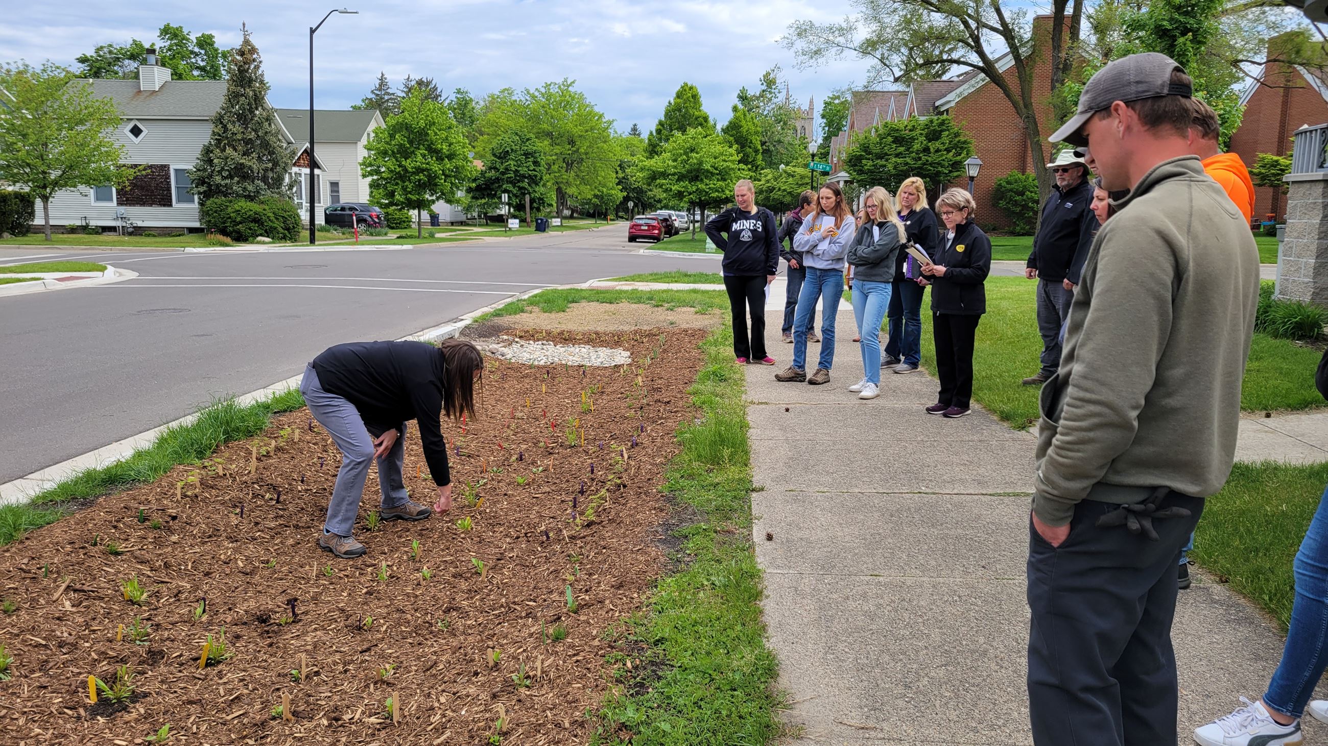 A person bending over a bed of small plant sprouts with a group of people watching
