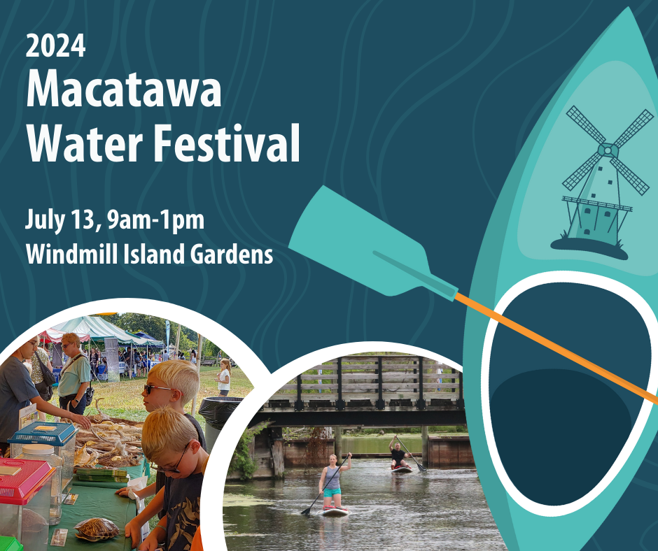 Water Festival Poster