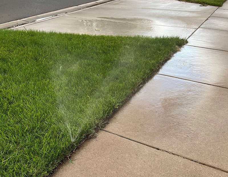 Wet green grass along a sidewalk and driveway entry, with a sprinkler head on 