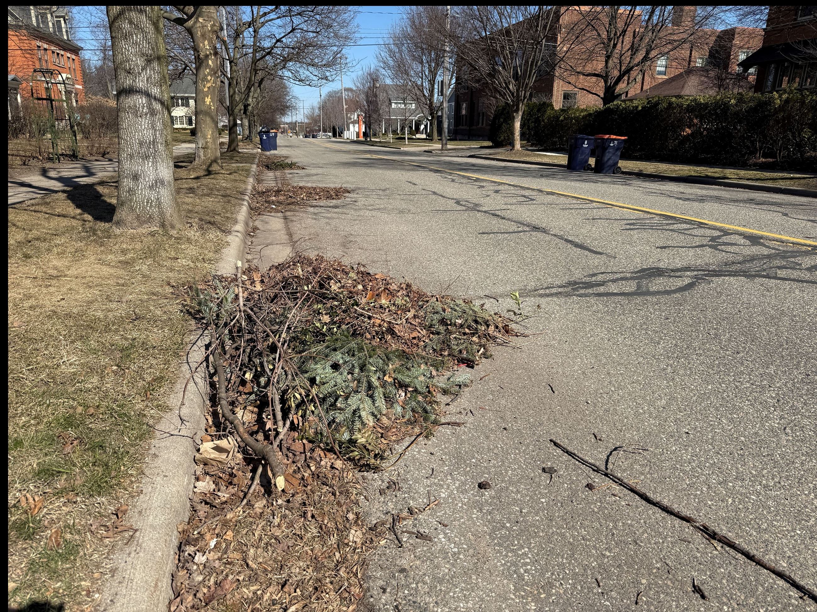 small brush pile on side of residential street with trash bins lining the street