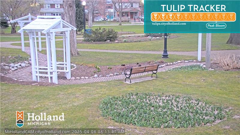 city park with grass, bench facing brick path and garden beds, bed of tulip buds in foreground