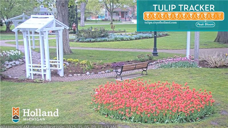 a park with green grass and walkways with a circular bed of red tulips