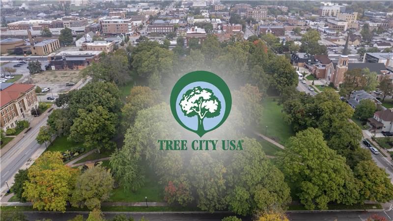 TreeCity logo over an aerial photo of an urban forest